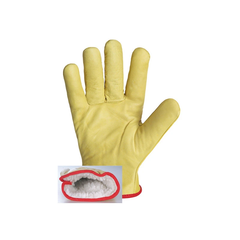 [SIN-007888] SINGER SAFETY LIEDER WANTER HÄNDCHEN 10
